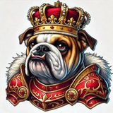 Salty King Airdrop