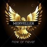 MERVELLER SFS BOT