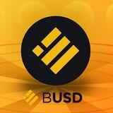 BUSD.e Pay