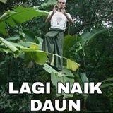 Drop aja