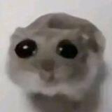 biuu