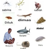 mulyono