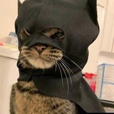 Dubidu