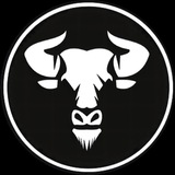 Bull House Bot 🐂