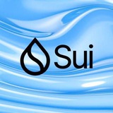 Sui Airdrop 🏆
