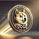 🐶 DOGE INSTANT PAYER