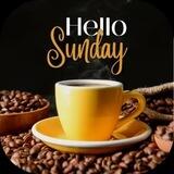 SUNDAY FUNDAY BOT