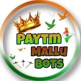 PMB TEAM