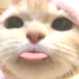 ^ ^