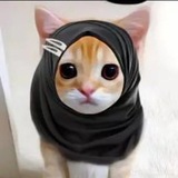 Catty Suka Jajan