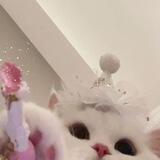 Ren ꔫ