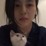 Lily Bot