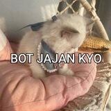 ꒰𑁬 ˖ ⊹ 빠른 서비스, kyo 💭 ⊹ֹ ִ ⪨