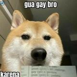 Kai
