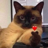ella's bot