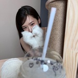 Yujin Fortalice.