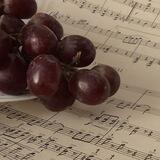 ୨ ׄ ⸼ 🍇 Navian's ─ helper ִ ׄ 𐙚 ”