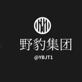 野豹双向机器人