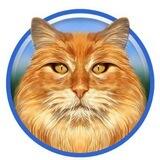 RagDollCat Airdrop bot