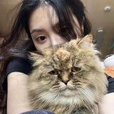 Shereila's