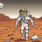 Doge Mars