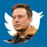 Elon Twitter Airdrop