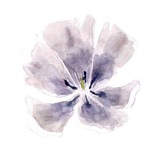 elalalalara