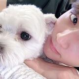 uwon