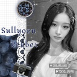 ˑ𓂃🫐 ♪ Rekber sullyoon || order's