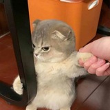 elaaaaaaa