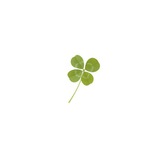 🍀 : Jastip & Upfoll