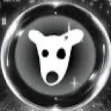 Dogs🦴Coins🚀