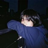 処女、the shepherd mailbox.
