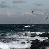 A girl, An Ocean.
