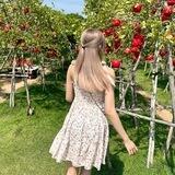 🌳 Zahra