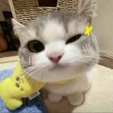 𝗸𝝴𝝴𝗻ׅ𝝰𝗻ׅ 𝞈𝘁𝗯ֵׄ