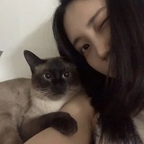 sha