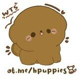 @ hpuppies assist 🐩