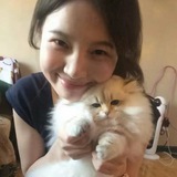 双向机器人