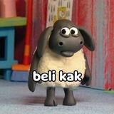 Punya amel (mulfung)