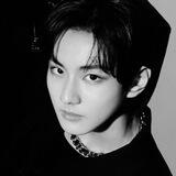 JUNGCAT