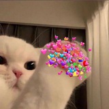 Jeha