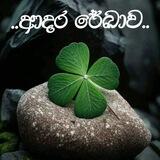 🫧🍃ආදර රේඛාව🍃🫧