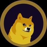 HachikoInu TON Airdrop