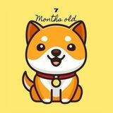 Babydoge airdrop