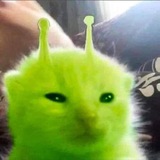 boo!
