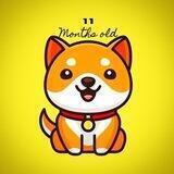 Baby Doge Coin Airdrop