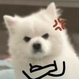 ra.