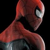 spidey orders !