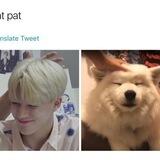 i woof engpals!